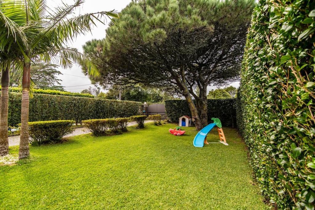 Apartamento Do Pinheiro São Vicente Ferreira 外观 照片